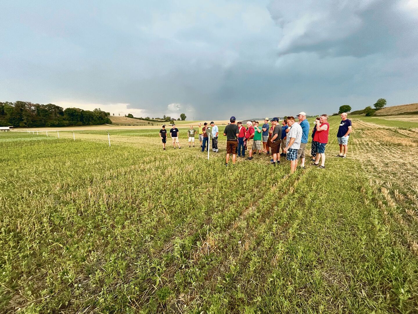 Dem Boden zuliebe säten Gysels Gründüngen nach der Ernte ein. Die Teilnehmer des Flurgangs beurteilen den Bestand.