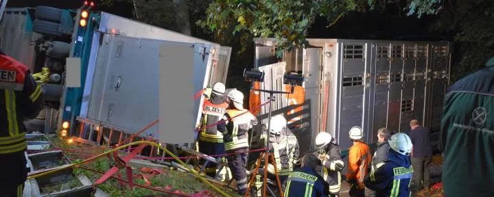 4f1bcff11dc23d85aa189bccbffd74600d512fb2 13 Schweine kamen bei dem Unfall ums Leben. (Bild Kreisfeuerwehr Rotenburg)