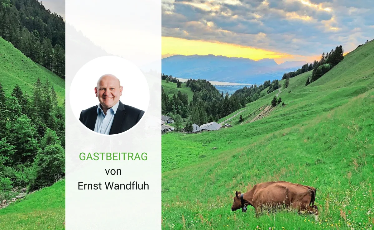 Gastbeitrag_Wandfluh_IPS IP-Suisse-Richtlinien zur Sömmerung: Mehraufwand und Rückschritte?