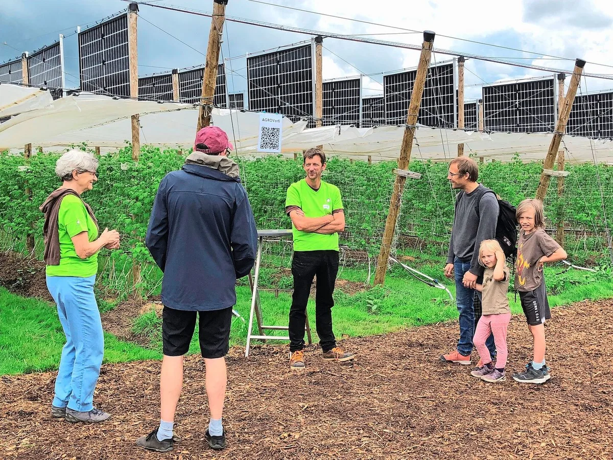 Die PV-Anlage über Himbeeren bei Heinz Schmid in Aesch (m.) anlässlich eines Tages der offenen Tür.