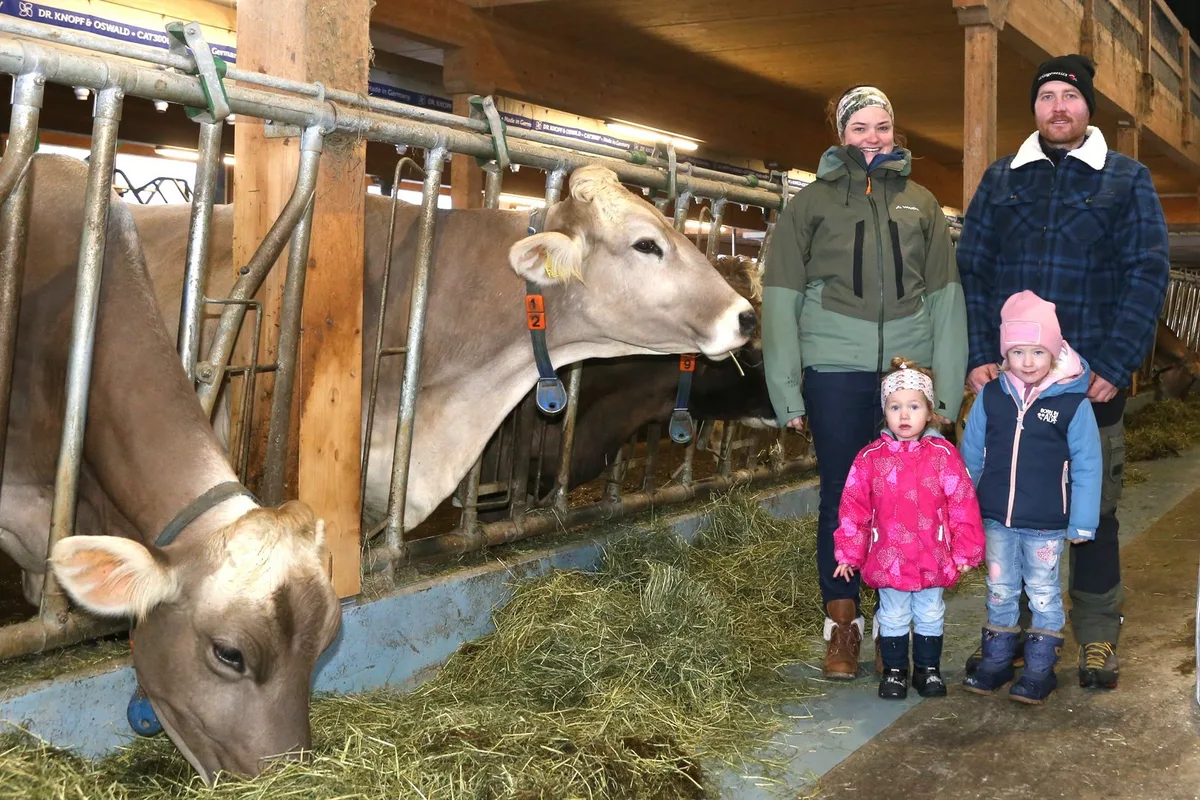 nieBild_1 Braunvieh-Fans: Die Familie Niederberger züchtet auf viel Milch und schöne Euter