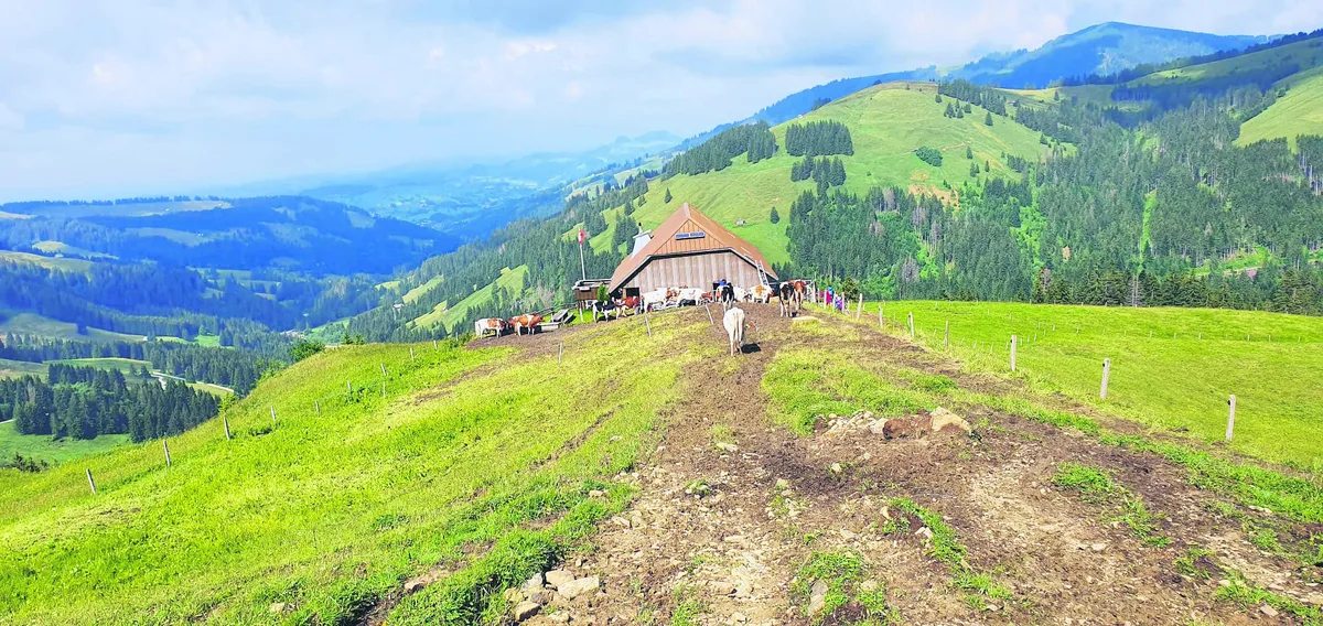 BZ-LAN4-25-Tagebuch-km «Die Aussicht auf der Alp ist immer wieder heimelig»