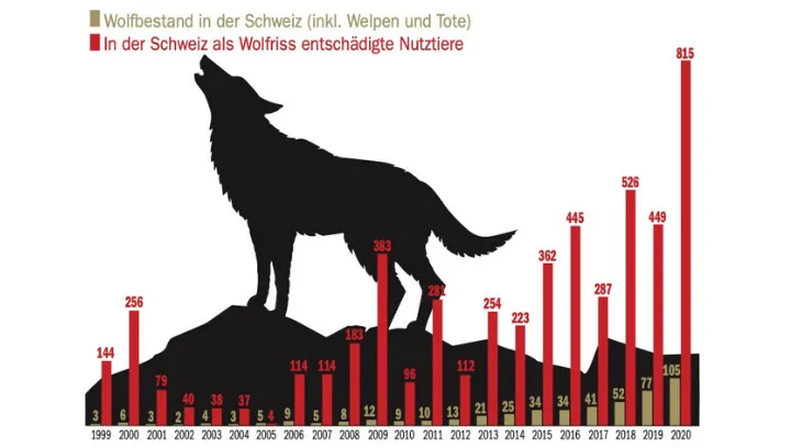 175df2118f6fc8da1e955748af5ffecb Bislang am meisten Wolfsrisse wurden letztes Jahr registriert. Die Daten werden von der Stiftung Kora erfasst. (Grafik ng/Daten Kora)