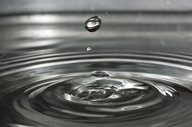 Die parlamentarische Initiative sei ausdrücklich kein indirekter Gegenvorschlag. (Bild Pixabay)
