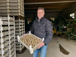 Erstmals baut Daniel Erb in diesem Jahr mit SH C 1010 eine Chips-Sorte an. «Diese schnitt bei den Sortenversuchen gut ab und soll trockenheitsresistenter als andere Sorten sein.»