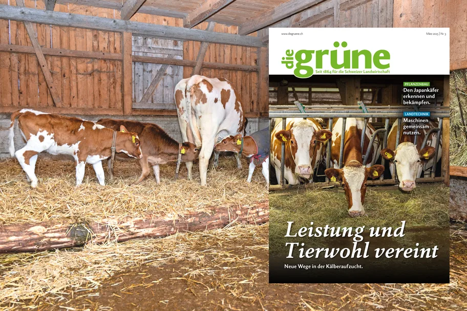 «die grüne» im März 2025 – Leistung und Tierwohl vereint