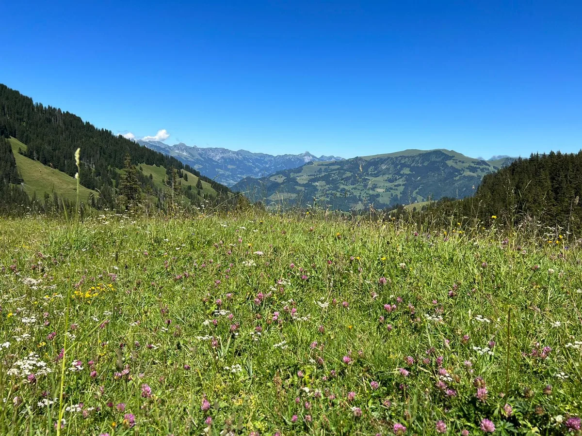 IMG-20220703-WA0005 Gelan-Ausfüllen, aber Richtig