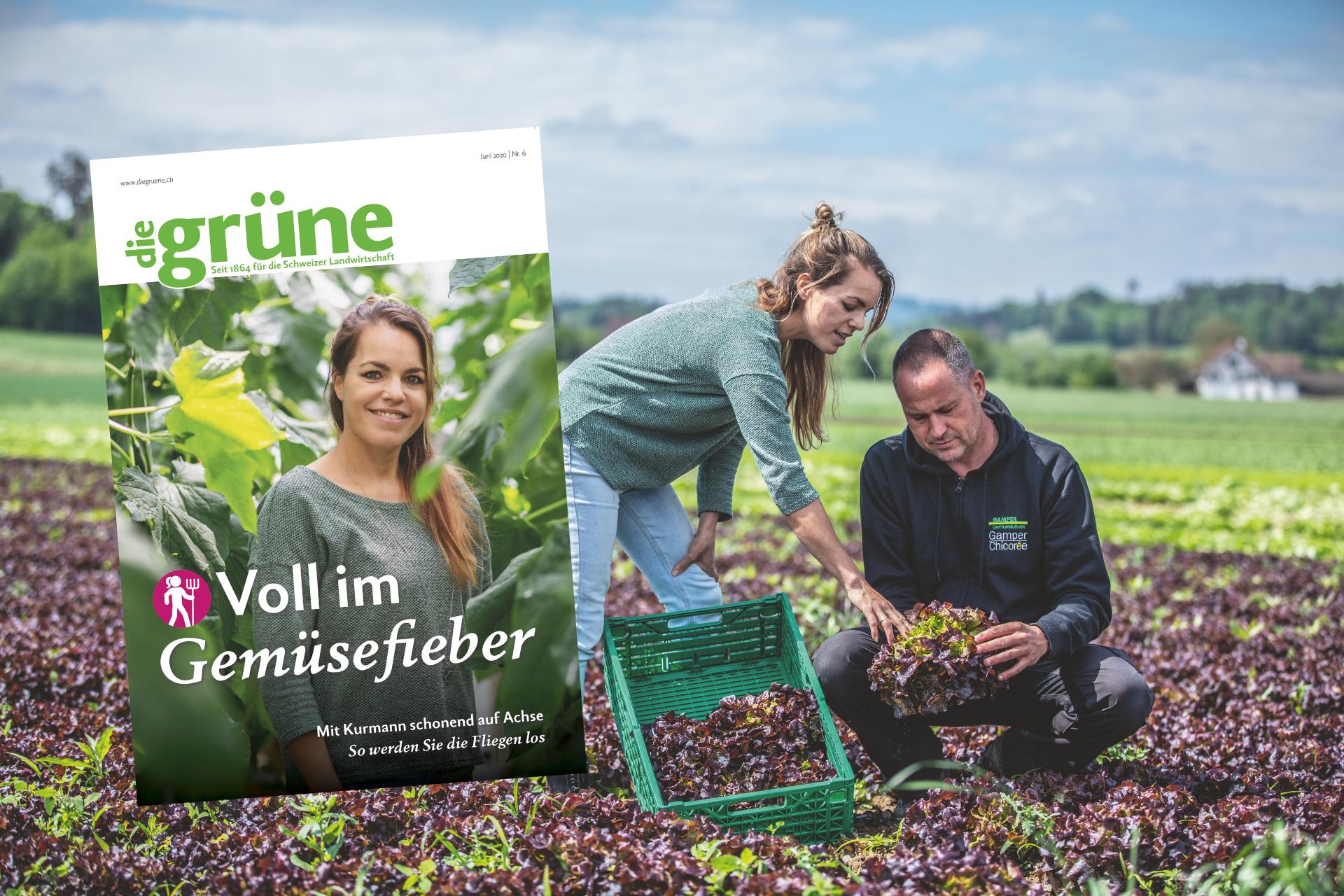 Vom Gemüseanbau über Melkroboter zu Halmverkürzer - die Themen in der neuen Ausgabe sind vielfältig. (Bild DG)
