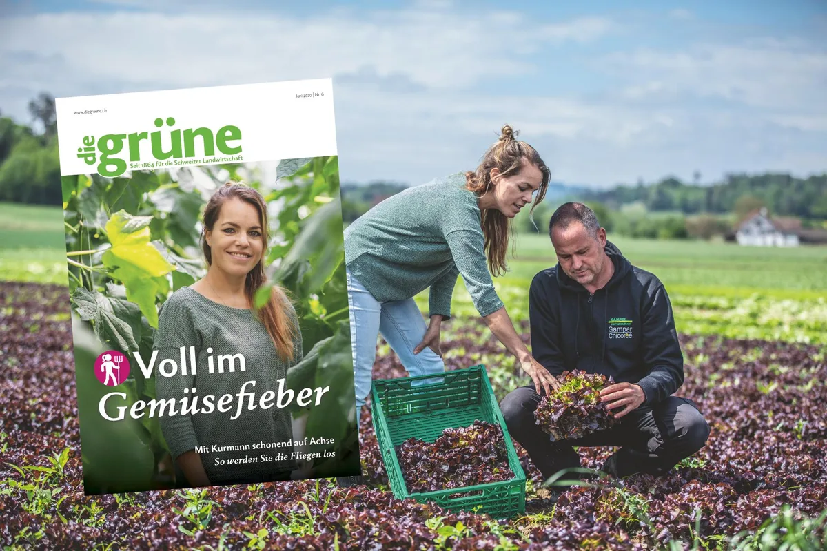 Vom Gemüseanbau über Melkroboter zu Halmverkürzer - die Themen in der neuen Ausgabe sind vielfältig. (Bild DG)