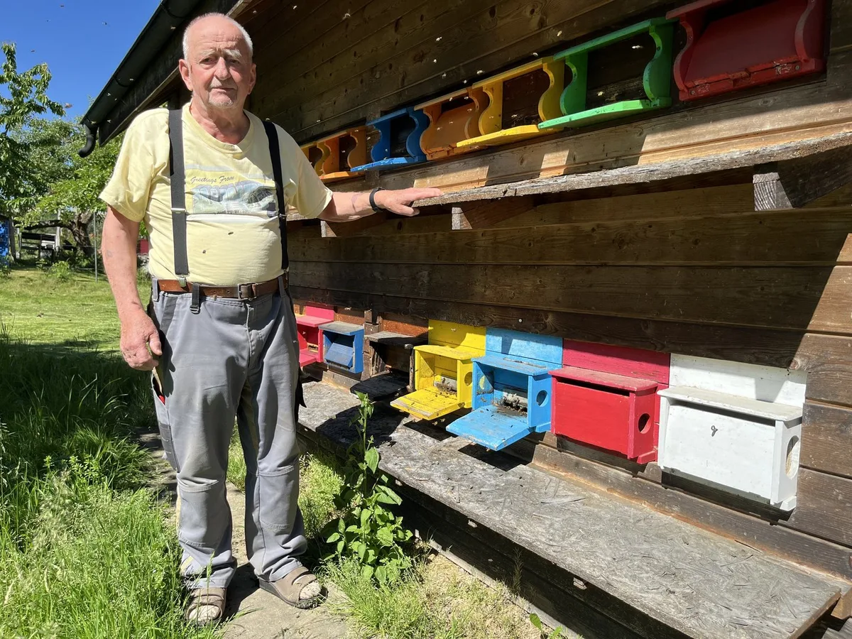 bienenIMG_2643 Vergiftung in Schnottwil: Biozide können Bienen töten – auch ausserhalb des Ackerbaus
