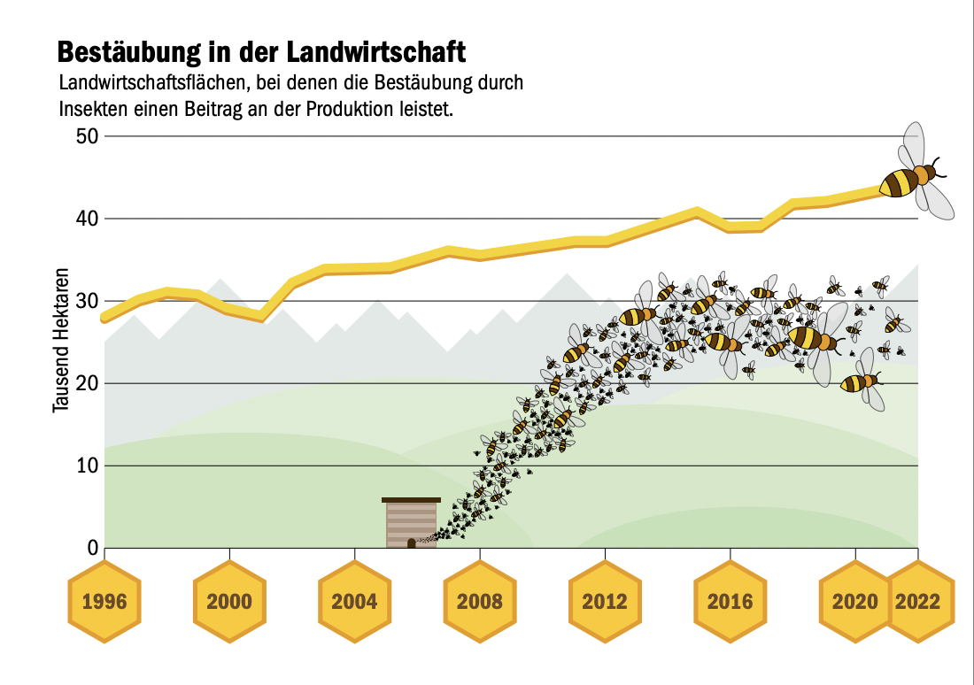 Bienen müssen immer grössere Flächen bestäuben