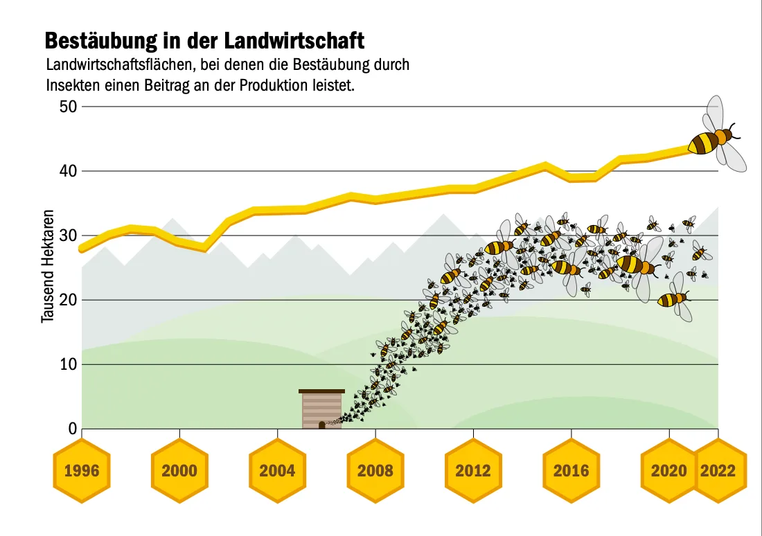 Bienen müssen immer grössere Flächen bestäuben