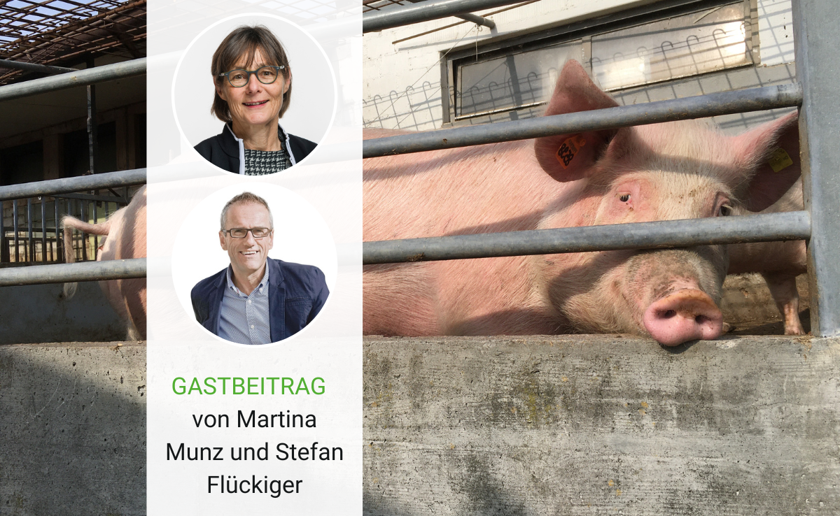 Die grosse Leere nach der Abstimmung über die Massentierhaltungs-Initiative