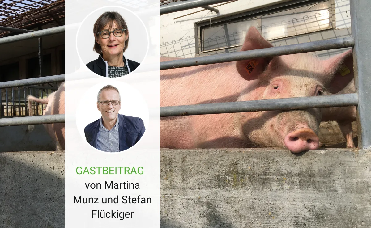 gastbeitrag-munz-flueckiger Die grosse Leere nach der Abstimmung über die Massentierhaltungs-Initiative