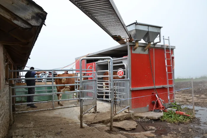 db969d26e073902d4256557b894c9fdee26baf2e Vom Stall aus gelangen die Kühe zum Melkroboter. Der ist in einem Container untergebracht und kann im Winter ins Tal gezügelt werden. (Bilder Deborah Rentsch)