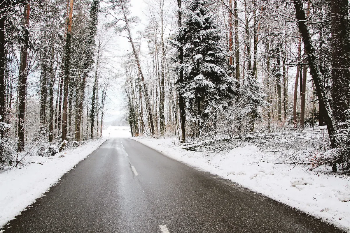 ed67959cd7b666b1dcfc8dce531b6ec5e98ce26d Das Bild aus dem Zürcher Weinland entstand einige Tage nach den starken Schneefällen und zeigt, dass die Schäden im Wald beträchtlich waren.(Bild Roland Müller)ü)
