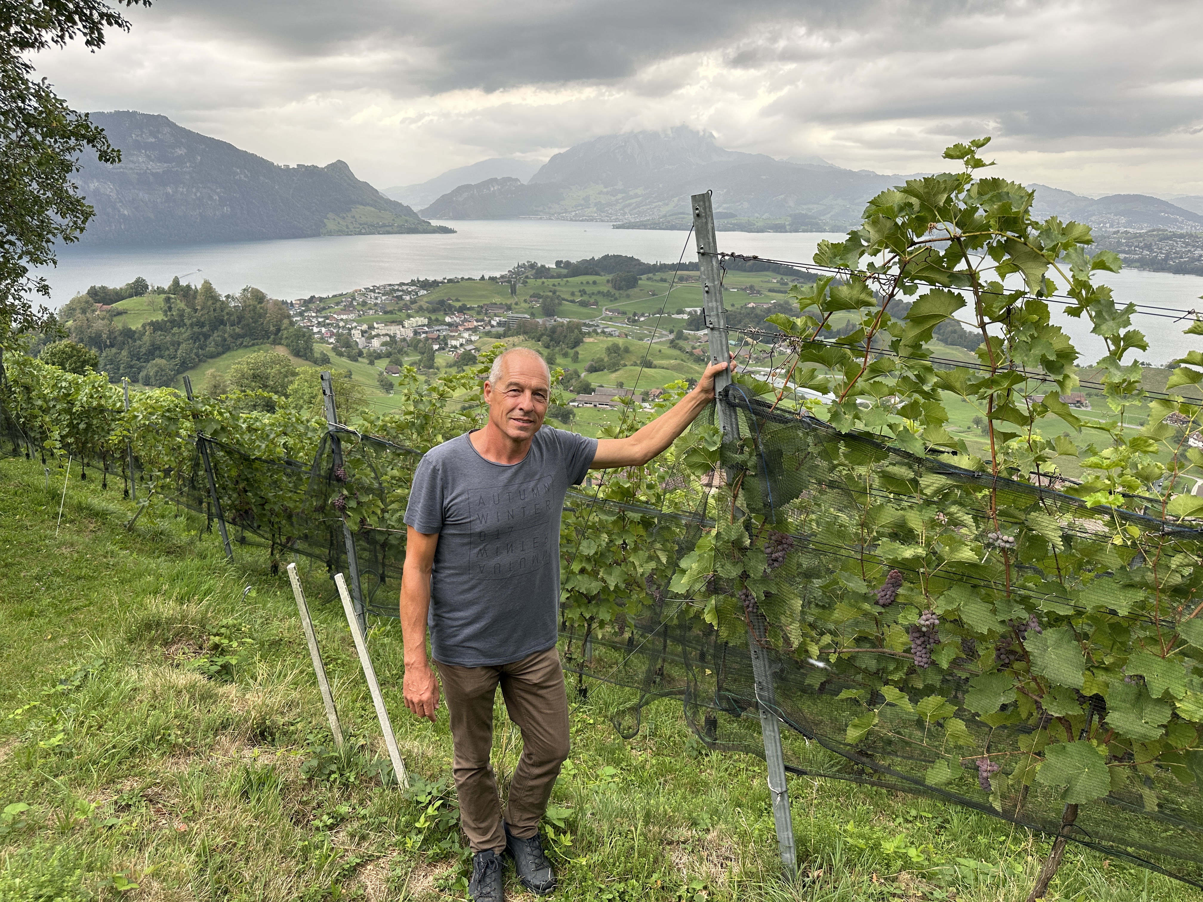 Remo Müller in seinem steilen Rebberg auf 700 Meter über Meer in der Bergzone 1 oberhalb Weggis.