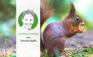 Wer klug ist, sorgt vor, wie z. B. das Eichhörnchen: Es sammelt jeden Herbst Futter, auch wenn es nicht weiss, wie hart der Winter wird.