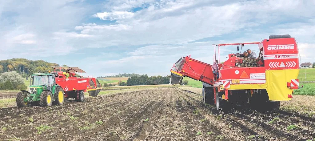 Die Ostschweizer sind mit der Ernte weiter fortgeschritten. (Bild jba)