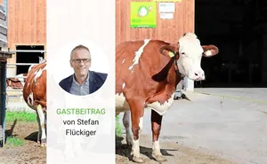 Grossverteiler können bei einem Segment von zahlungskräftigen Kunden, die Hauptkonsumenten von Bioprodukten sind, hohe Preise im Supermarkt verlangen.