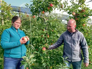 Christoph und Alexandra Habermacher beurteilen in ihrer Obstanlage den verbliebenen Behang. Bald werden auch diese Jonagold geerntet.