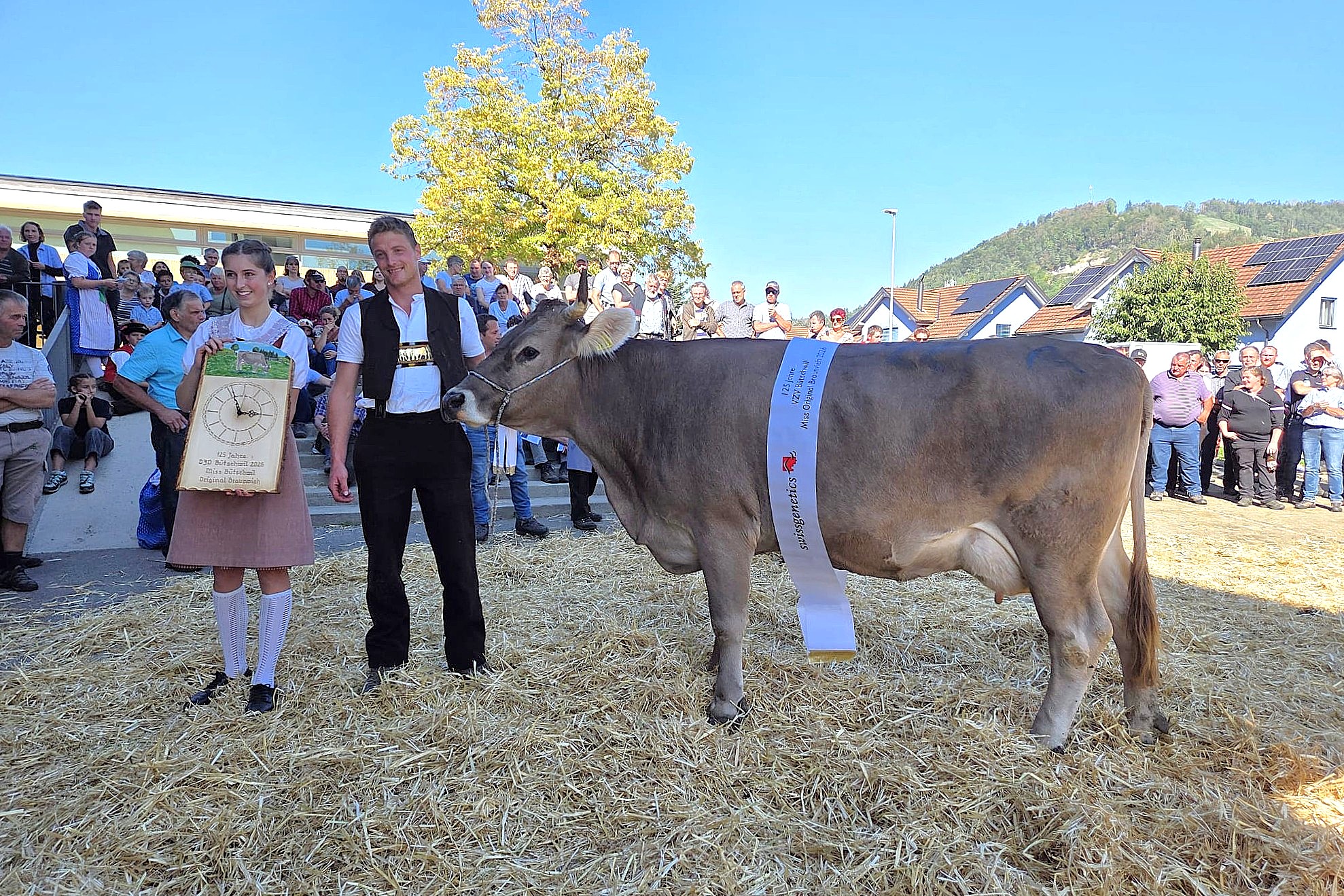 Miss Bütschwil Original Braunvieh wurde Carola von Mathias Breitenmoser.