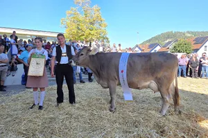 Miss Bütschwil Original Braunvieh wurde Carola von Mathias Breitenmoser.