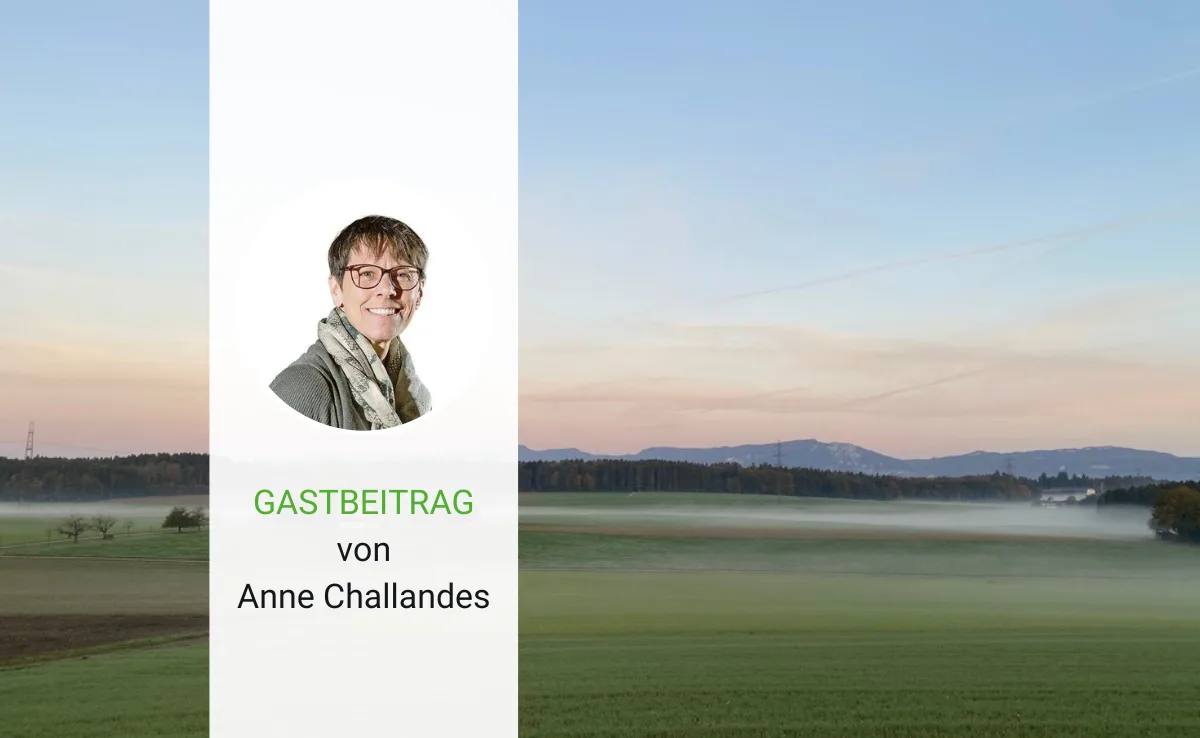 Artikel_Gastbeitrag_BauZ_ChallandesRueck Frauen auf dem Siegertreppchen