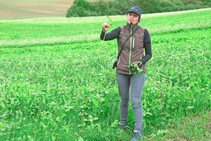 Amélie Fietier von der Fondation rurale interjurassienne stellt am Flurgang eine Zwischenfrucht aus Buchweizen, Ramtillkraut und Sorghum vor.