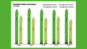 Bei Spargeln ist der Anteil aus Schweizer Produktion auf dem inländischen Markt generell klein. (Grafik mi/Daten SZG)
