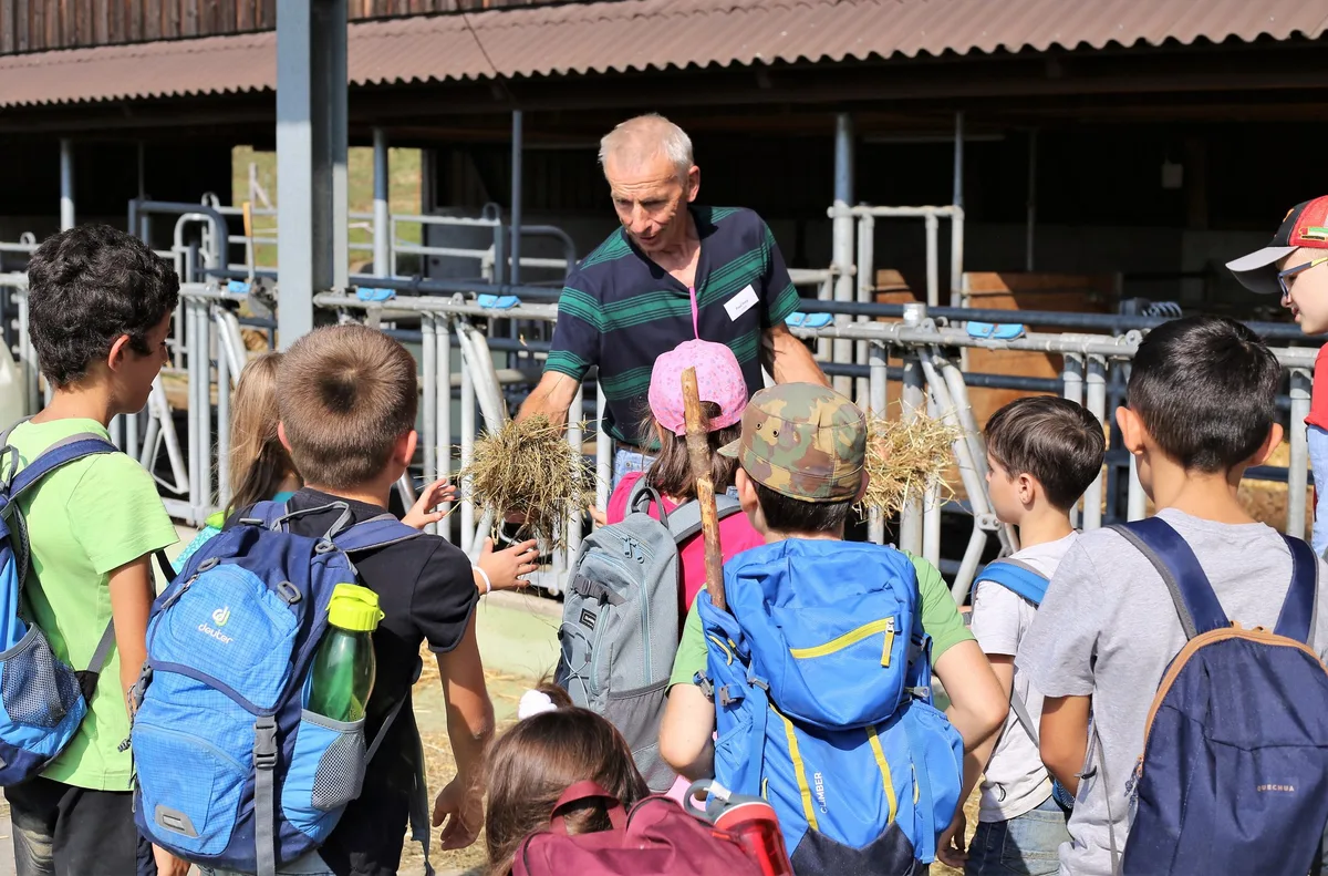 SchuB-Tag-Aargau-2020_ar «Es braucht mehr Kommunikation in der Ausbildung»