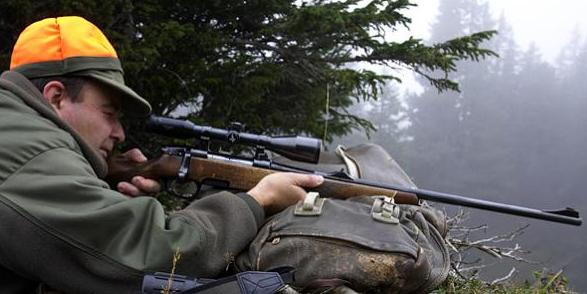 Ansitzjagd und Pirsch ohne Hunde sind während Juli und August 2019 gestattet. (Bild Jagd Schweiz)