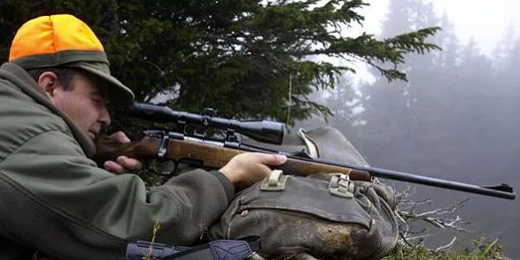 2c71bce61cab144d7f8206b61a48b2caaf12028b Ansitzjagd und Pirsch ohne Hunde sind während Juli und August 2019 gestattet. (Bild Jagd Schweiz)