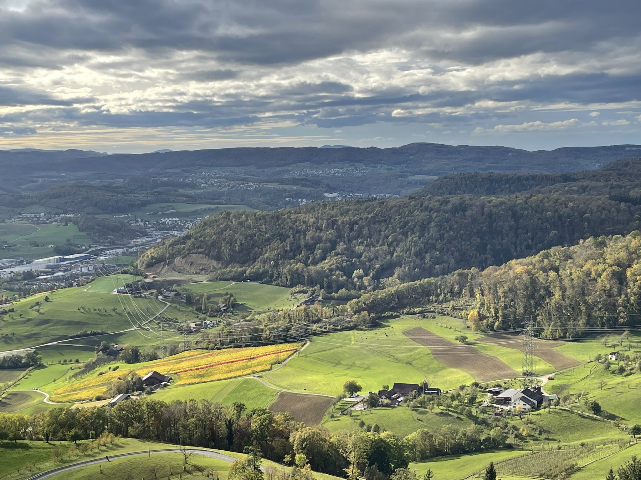 Für das Klima regional statt einzelbetrieblich vorgehen ist effizienter