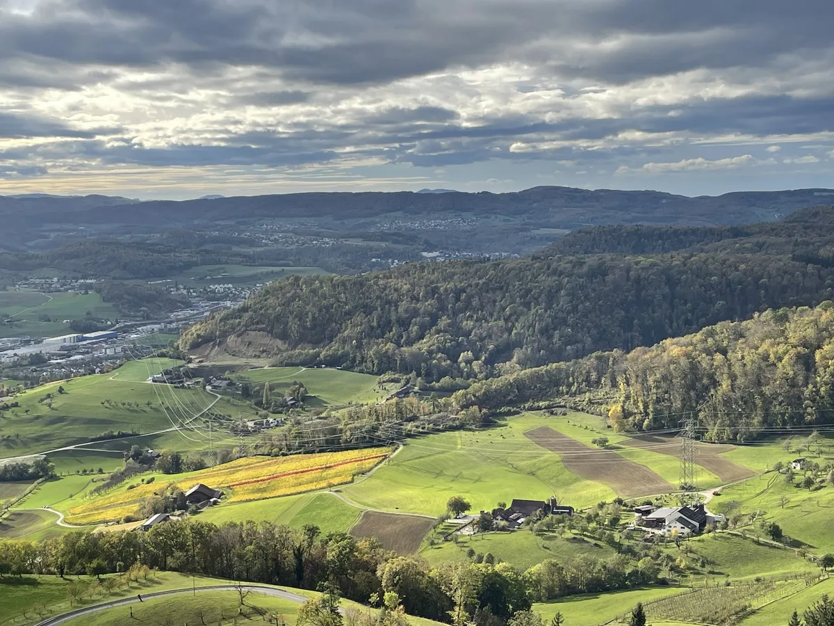 Für das Klima regional statt einzelbetrieblich vorgehen ist effizienter