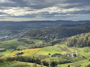 Müssen alle Betriebe in einer Region zusammen die 10-prozentige Reduktion erreichen, betragen die durchschnittlichen Kosten pro Betrieb nur 545 Fr, was das regionale Reduktionsziel um 88 % kosteneffizienter macht.