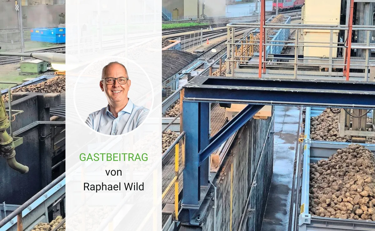 Den Zuckerrübenpflanzern verleidet es und die Fabriken kämpfen
