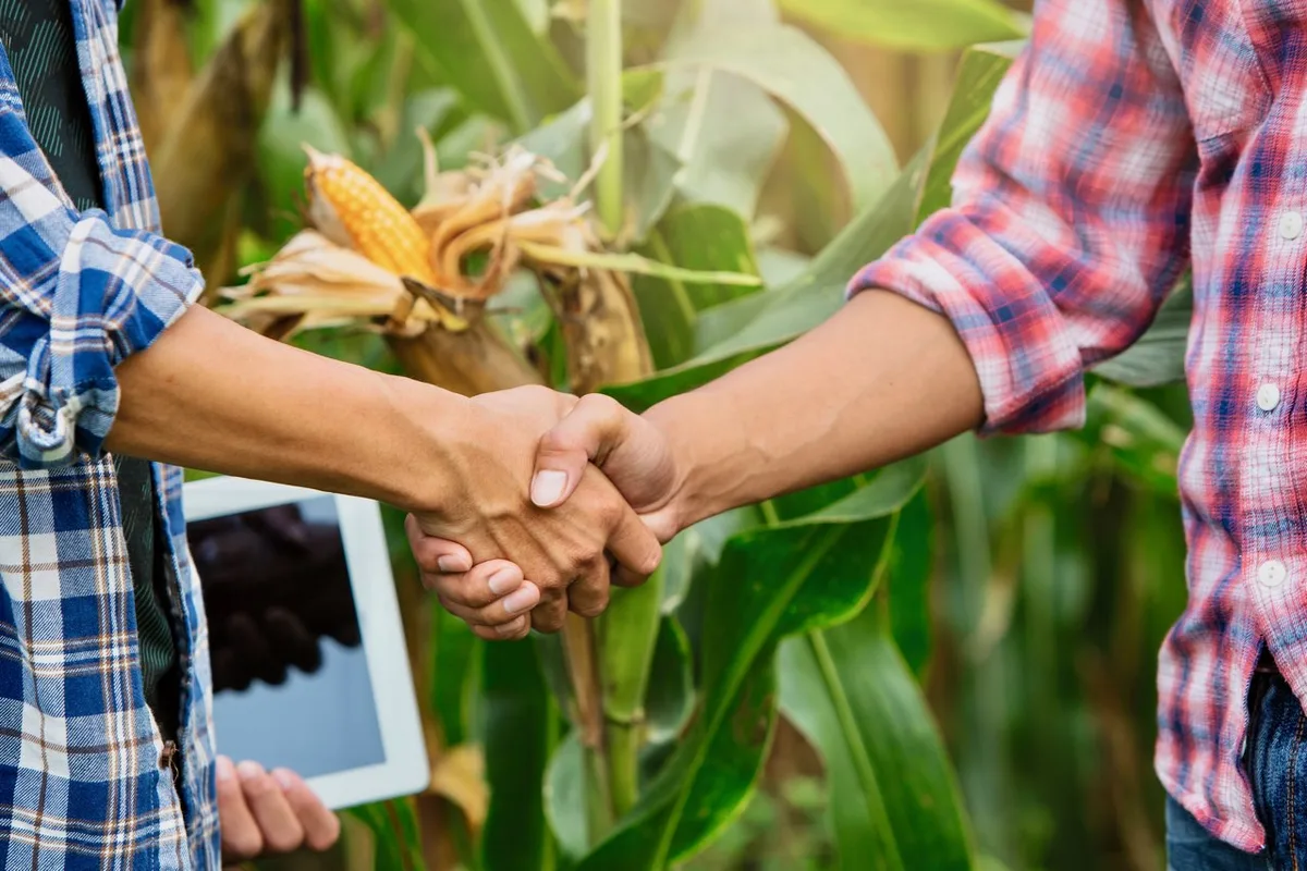2cb51e52b47f94199d0664438e7228234f5033af «Hand in Hand» in der Landwirtschaft heisst das Jahresthema 2021 vom Fachmagazin «die grüne». (Bild: Adobe Stock)