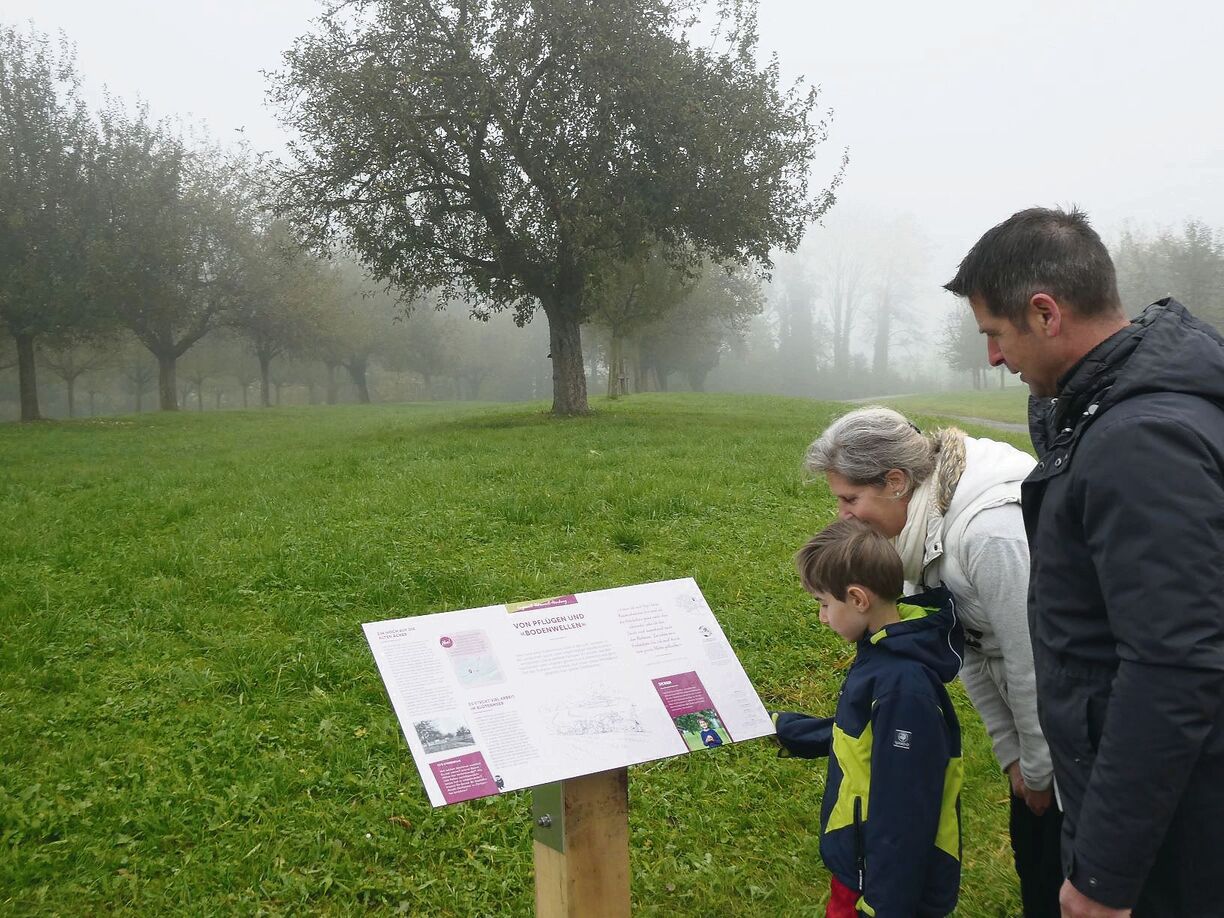 Neue Rundwege im Ostschweizer Naturschutzgebiet Hudelmoos