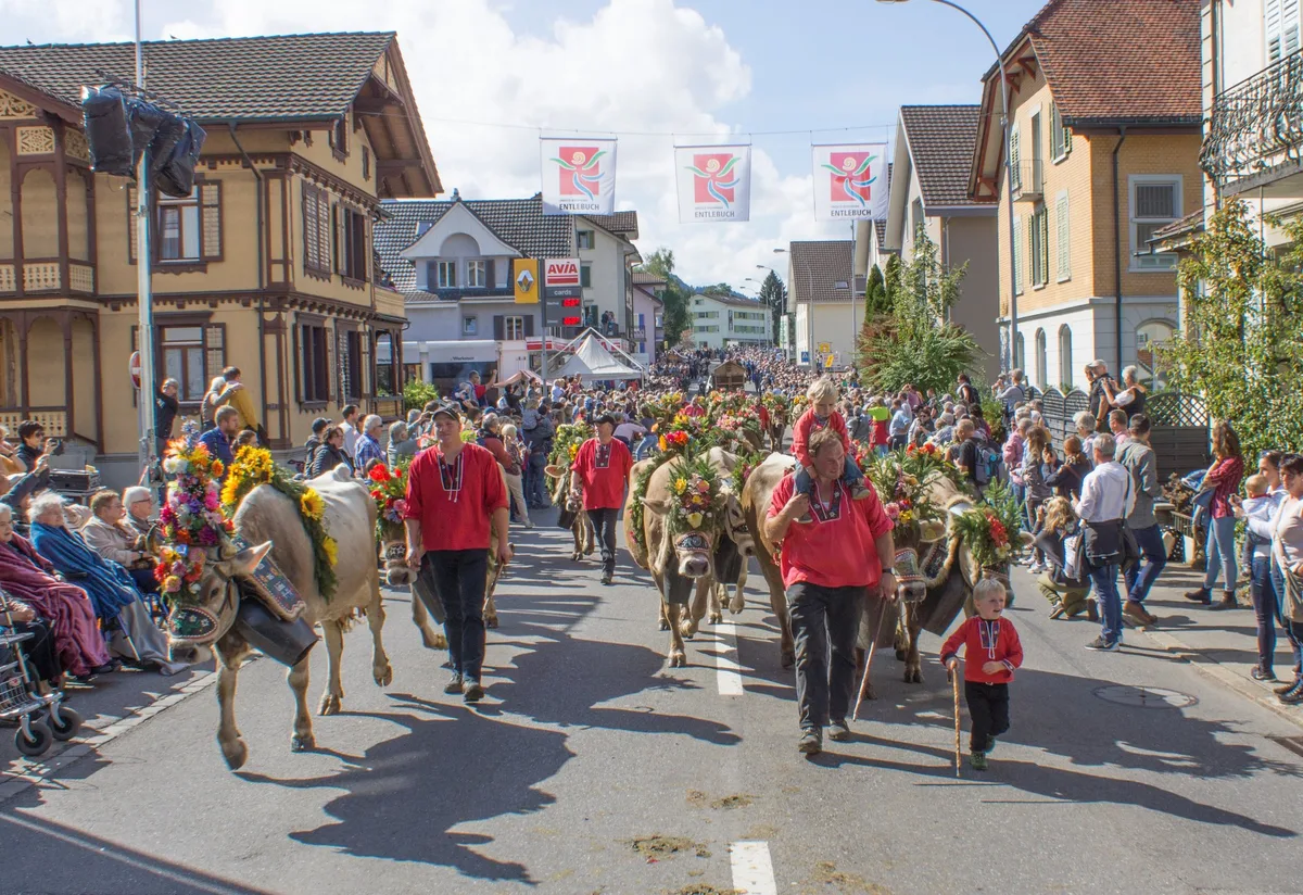 a28dc9d295eff4b634583872a07c0156a8c85087 Im Dorfzentrum von Schüfheim haben tausende Besucher auf die sieben Älplerfamilien mit ihren prächtig geschmückten Tieren gewartet. (Bilder Sandra Steffen-Odermatt)