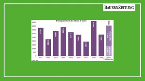 2020 werden laut dem Obstverband 4042 Tonnen Tafelzwetschgen geerntet, was eine aussergewöhnlich grosse Ernte ist. Dazu kommen noch 2500 Tonnen Brennzwetschgen. (Grafik BauZ)
