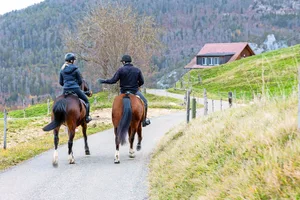 Regelmässige und bewusst geführte Gespräche, zum Beispiel beim gemeinsamen Hobby, können dabei helfen, Konflikten entgegenzuwirken.