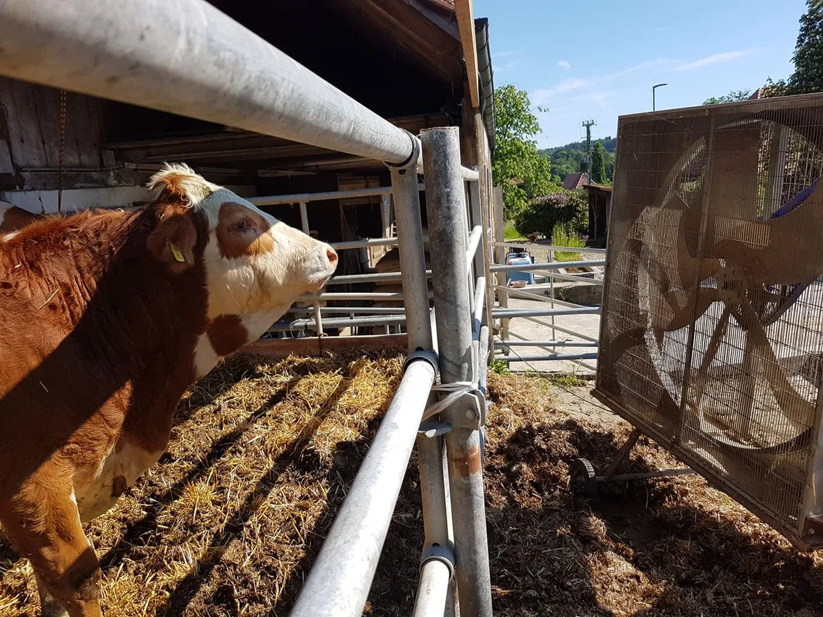 ff82202104752ddc7faf759bb454223c5d1c45b7 Gegenwind für die Tamedia: Der Schweizer Bauernverband wehrt sich beim Presserat gegen die Anschuldigungen in Sachen Tierschutz. (Bild Archiv)