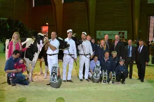 Champion (links): Ptit Coeur Affirmed Medecina, Marc und Erhard Junker, Iffwil / Reserve Champion (Mitte): Braedale Pagewire Delicieuse, Alex Gobeli, Saanen / Mention Honorable (rechts): Mattenhof Goldwyn Ronja, Alex Gobeli, Saanen