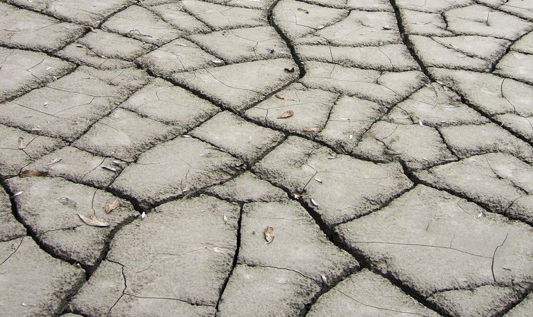 Zunehmende Trockenheit stellt Bauern in ganz Europa vor neue Herausforderungen. (Bild landwirtschaft.ch)