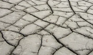 Zunehmende Trockenheit stellt Bauern in ganz Europa vor neue Herausforderungen. (Bild landwirtschaft.ch)