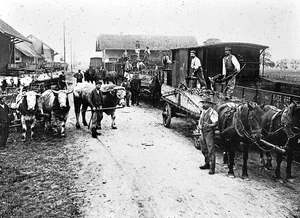 Mit dem Zugtier auf den Zug: Dank Tieren spielte die Landwirtschaft eine wichtige Rolle im Transportwesen.
