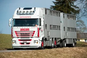 Die guten Produzentenpreise für Schweinehalter wirkten sich auch auf Anicom positiv aus. (Bild zVg)
