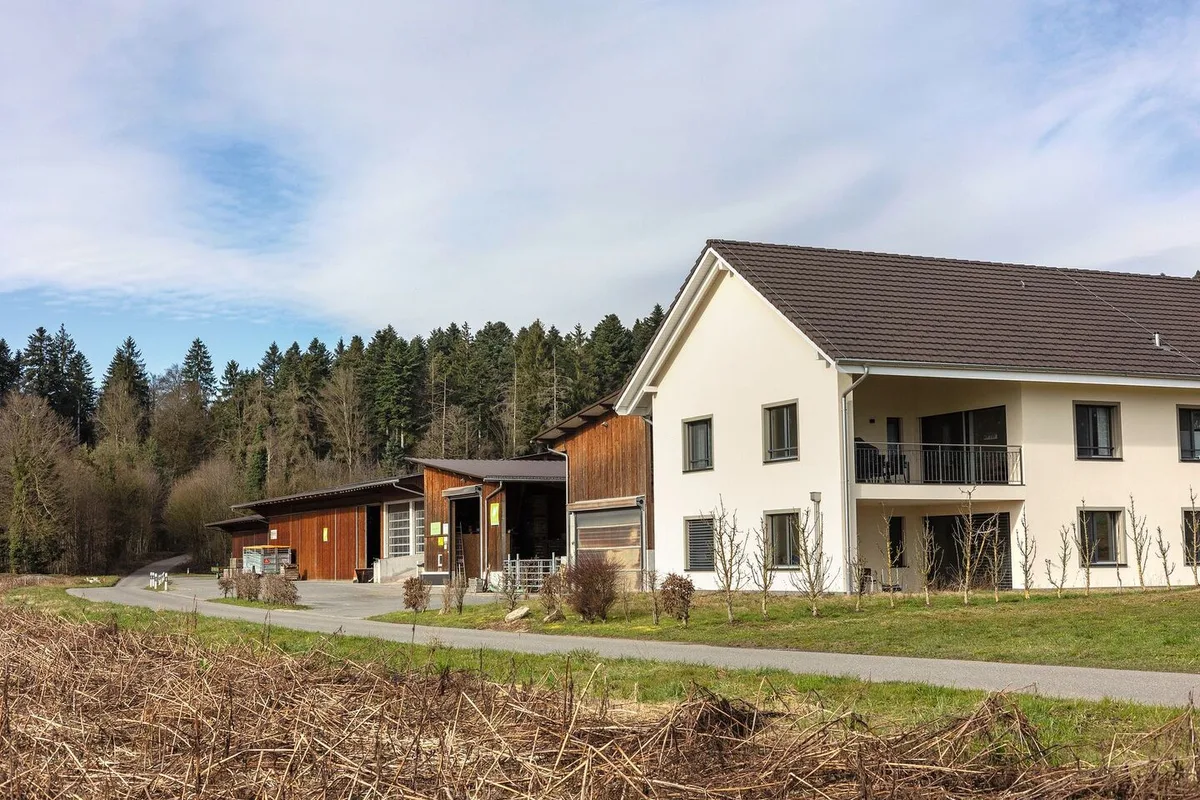 Die drei Etappen: Ganz links die erste Teilaussiedlung mit Maschinenhalle und Hühnerstall, in der Mitte die zweite Halle. 2019 folgten Kuhstall und Wohnhaus.