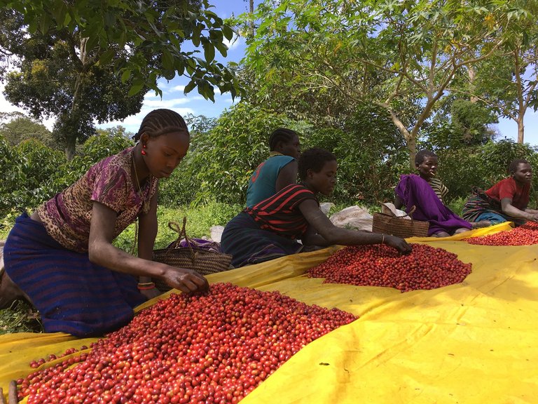 Die IFAD unterstützt die ländliche Bevölkerung vor allem in abgelegenen Gebieten. (Bild pd)